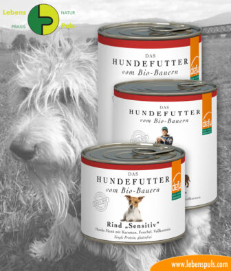 defu BIO dog food: wet food-beef