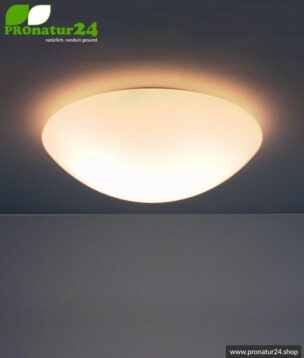 Shielded ceiling lamp and wall lamp, mouth blown opal glass, 2 sizes available (32cm), E27 socket, 60 watt