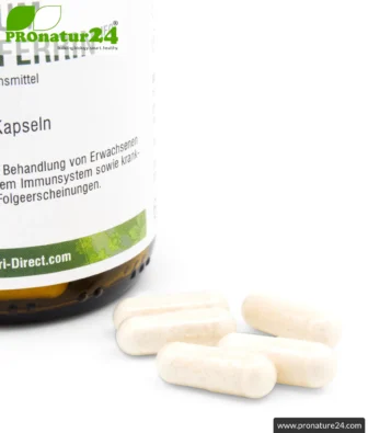 Lactoferrin HFQ | 250mg lactoferrin per capsule | premium quality dietary food