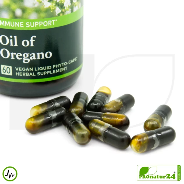 OIL OF OREGANO by Gaia Herbs | Power Plant for Natural Resilience | Digestion | Vitality | Well-Being | 60 Capsules