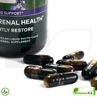 ADRENAL HEALTH - NIGHTLY RESTORE by Gaia Herbs | Focus on the Night | Dietary Supplement Before Bedtime | 60 Capsules
