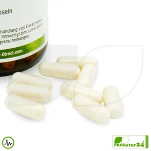 Lactoferrin HFQ capsules | 120 mg lactoferrin per capsule | premium quality dietary food 7 Lactoferrin HFQ capsules | 120 mg lactoferrin per capsule | premium quality dietary food